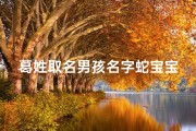 葛姓取名男孩名字蛇宝宝,《葛姓蛇宝宝：探寻独特寓意与吉祥名字》