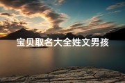 宝贝取名大全姓文男孩
