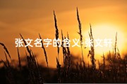 张文名字的含义-张文轩：童趣盎然，未来可期