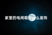 家里的电闸箱用什么装饰_电闸箱遮挡风水：家居安全与风水的平衡之道
