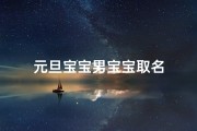 元旦宝宝男宝宝取名