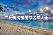 二胎男兔宝宝取名字大全(2025年兔2025年生二胎2025年出生的兔宝宝好吗)