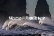 猪宝宝一月姓蒋名字
