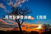 周易卦象查询表、《周易卦象揭秘：吉凶预兆图解》