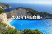 2003年1月8命格-2003年1月8日出生的人