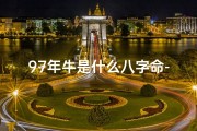 97年牛是什么八字命-97年属牛是什么命格