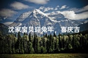 沈家宝贝迎兔年，喜庆吉祥小公主