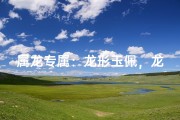 属龙专属：龙形玉佩，龙气相随