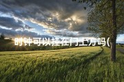 时钟可以挂在门上方吗(时钟挂柜中风水宜忌解析)
