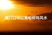 屋门口可以栽柏树吗风水