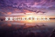 家里可以放木大象吗风水,家里摆放木质大象好吗