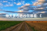 抽天赏石吉凶在哪看-《抽天赏石吉凶速查指南》