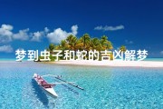 梦到虫子和蛇的吉凶解梦-《梦到虫蛇吉凶揭秘：梦境预示何意？》