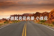 小孩起名花名册_小孩花名怎么取