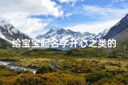 给宝宝起名字开心之类的(给我家孩子起个名字)