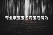 专业取宝宝名淘宝店铺为您定制个性化好名字