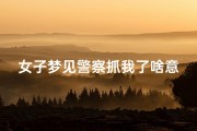 女子梦见警察抓我了啥意思-女人梦见警察抓人什么预兆