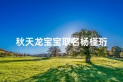 秋天龙宝宝取名杨槿珩