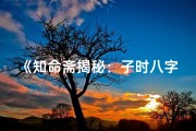 《知命斋揭秘：子时八字命理的奥秘与智慧》