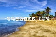 号码吉凶查询汉_《号码吉凶测试大全汉成网：揭秘运势密码》