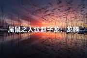 属鼠之人纹赵子龙：龙腾虎跃，英勇无畏