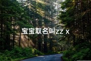 宝宝取名叫zz x