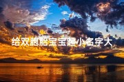 给双胞胎宝宝起小名字大全集-《双胞胎宝宝名字精选：创意无限，寓意美好》