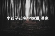 小孩子起名字姓潘;潘家新丁：萌娃降临，喜提可爱小名