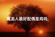 属龙人最好配偶是鸡吗;属龙与鸡：最佳伴侣揭秘