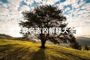 漾字取名吉凶解释大全图片女孩_《漾字取名吉凶详解：吉祥如意，好运连连图文宝典》