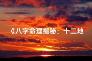 《八字命理揭秘：十二地支的智慧解读》