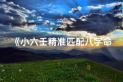 《小六壬精准匹配八字命理揭秘》