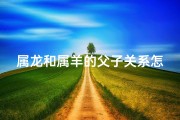 属龙和属羊的父子关系怎么样—属龙属羊能否喜结连理：儿子婚配之谜