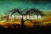6月11时辰吉凶运势;2021年6月11日的时辰吉凶