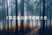 《取名吉凶用字图解大全揭秘：字义与运势深度解析》