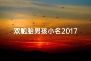 双胞胎男孩小名2017—《双胞胎男孩，创意小名大集合》
