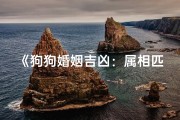 《狗狗婚姻吉凶：属相匹配大揭秘》