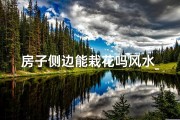 房子侧边能栽花吗风水_房子侧边栽花风水禁忌揭秘