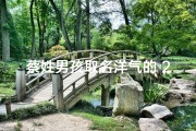 蔡姓男孩取名洋气的 2021;《龙年蔡姓男宝宝：寓意吉祥，独具特色的名字推荐》