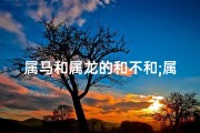 属马和属龙的和不和;属马属龙缘何不合？揭秘生肖相冲之谜
