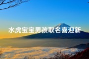 水虎宝宝男孩取名喜迎新生命
