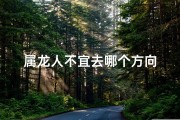 属龙人不宜去哪个方向