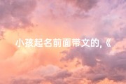 小孩起名前面带文的,《文轩童趣：探寻孩子心中的奇妙世界》