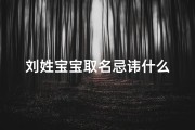 刘姓宝宝取名忌讳什么