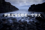尹姓龙宝宝取名一个字大全_尹姓龙凤胎名字