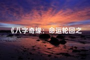 《八字奇缘：命运轮回之谜》