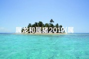 属龙和属猪2019(属龙属猪2019：生肖运势大揭秘)