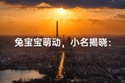 兔宝宝萌动，小名揭晓：萌萌哒