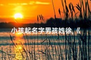 小孩起名字男孩姓徐,《徐姓男孩，寓意美好的名字精选》