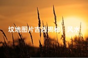 坟地图片吉凶揭秘：风水布局与运势解析